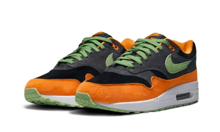 Air Max 1 PRM Duck Anthracite - DZ0482-001