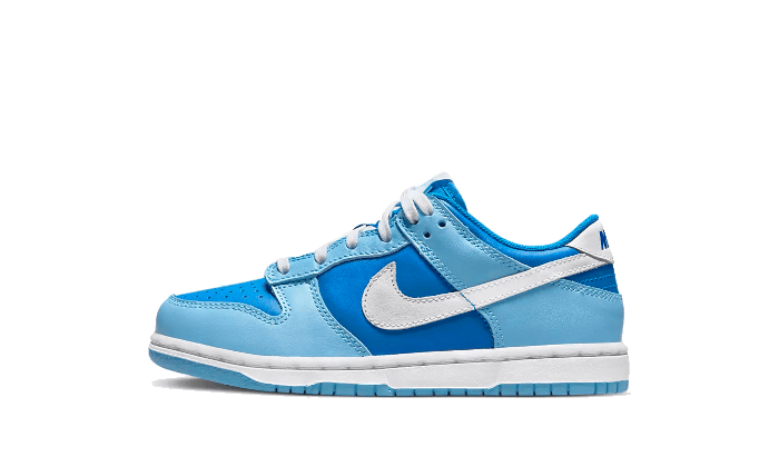 Nike Dunk Low Argon Enfant (PS)