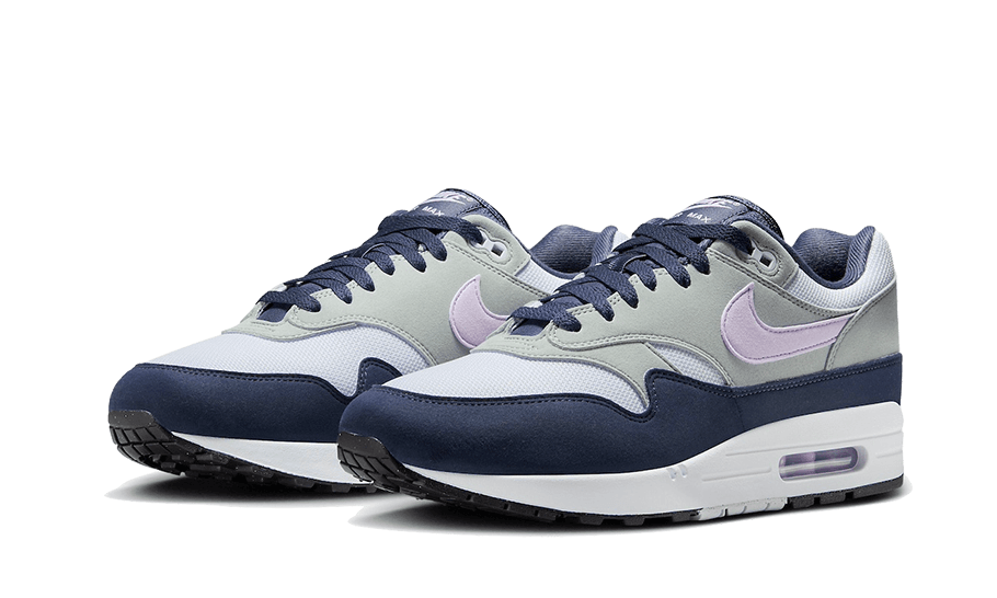 Air Max 1 Thunder Blue - FD9082-001