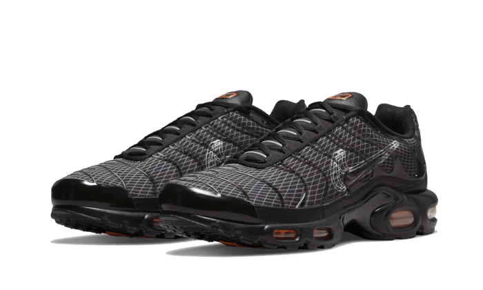 Air Max Plus 3D Swoosh Black - DR0138-001