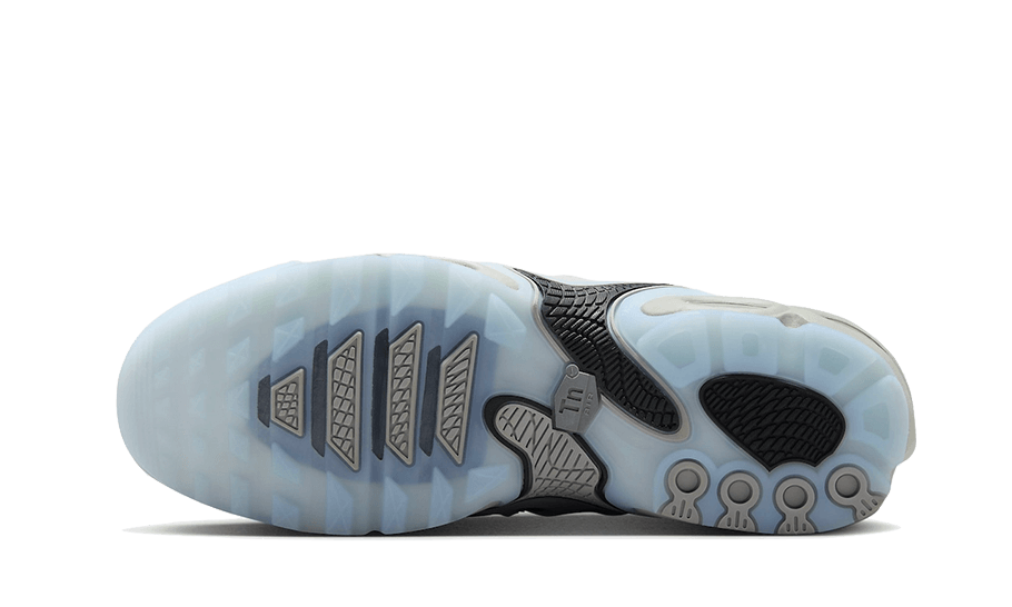 Air Max Plus Drift Light Smoke Grey - FD4290-002