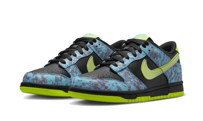 Dunk Low Acid Wash - DV1694-900