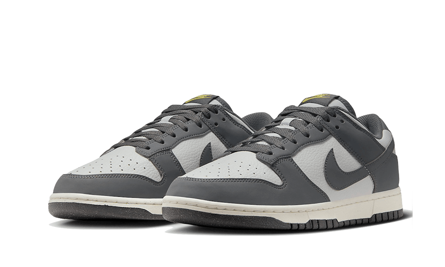 Dunk Low Next Nature Iron Grey Lightning - FZ4621-001