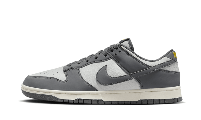 Dunk Low Next Nature Iron Grey Lightning - FZ4621-001