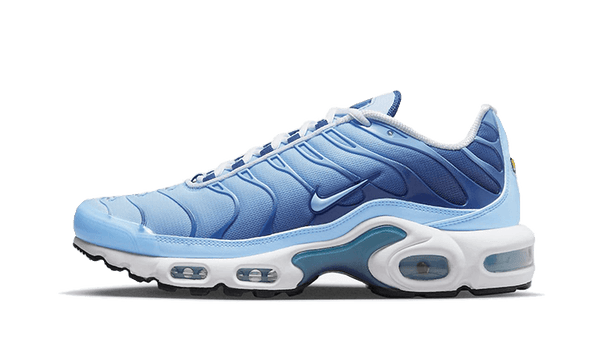 Air Max Plus University Blue Gradient - FJ4736-400