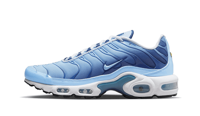 Air Max Plus University Blue Gradient - FJ4736-400