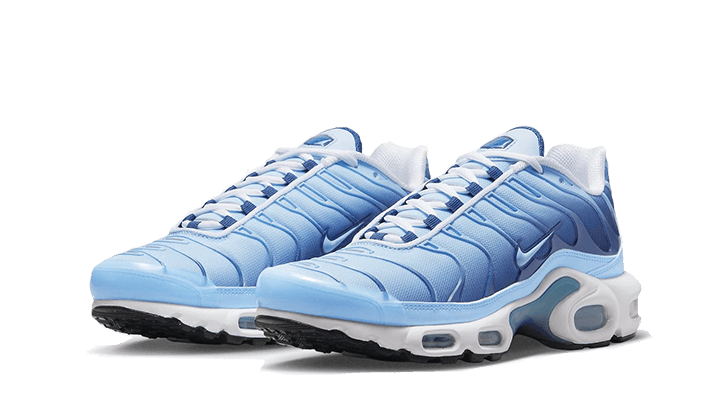 Air Max Plus University Blue Gradient - FJ4736-400