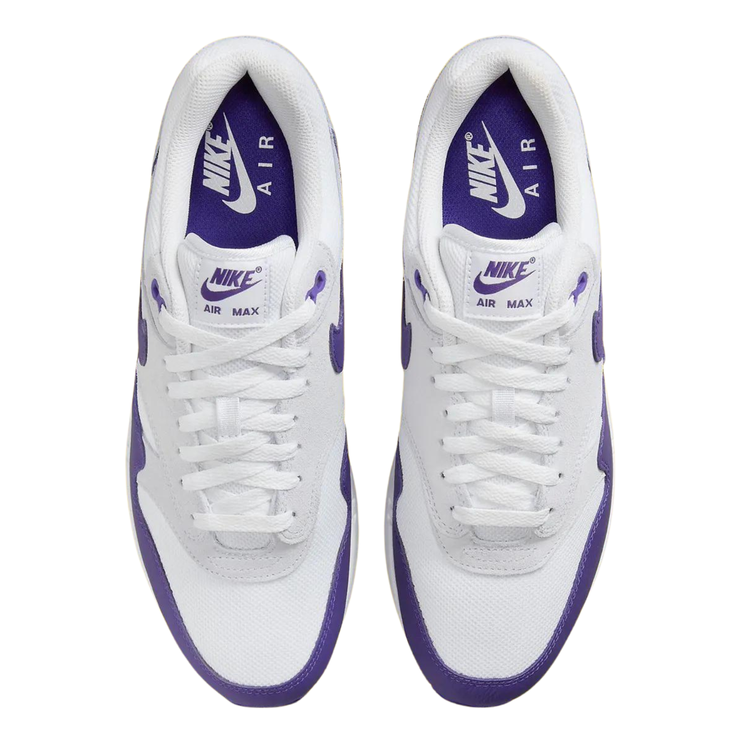 Nike Air Max 1 'Field Purple'