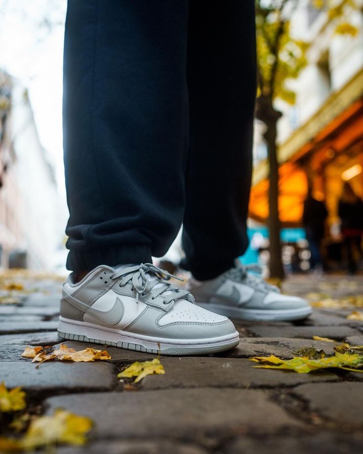 Nike Dunk Low Grey Fog