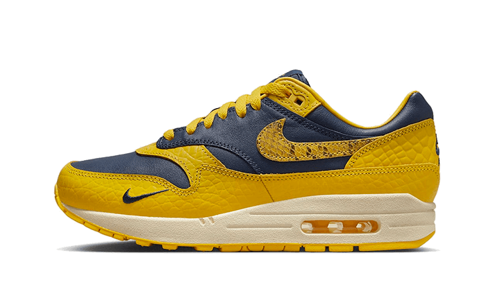 Air Max 1 CO.JP Michigan - FJ5479-410