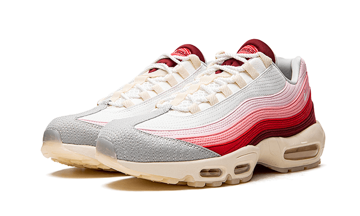 Air Max 95 Anatomy of Air - DM0012-600