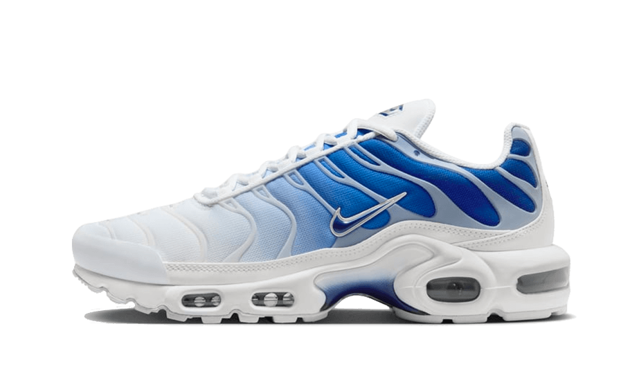 Nike Air Max Plus Blue Fade