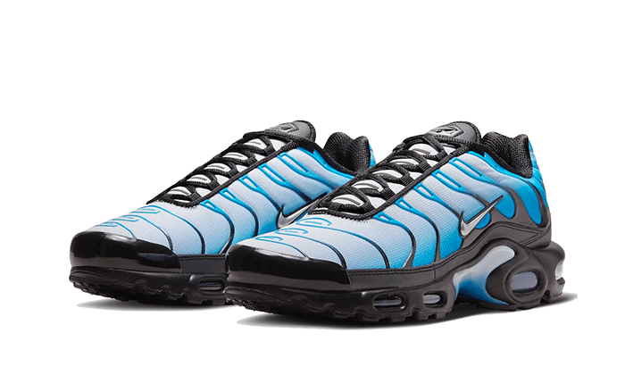 Air Max Plus Blue Gradient - FQ0204-010