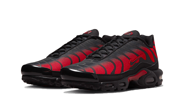 Air Max Plus Bred Reflective - DZ4507-600