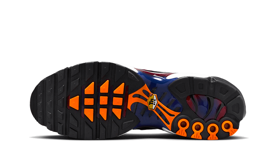 Air Max Plus Patta FC Barcelona - FN8260-001