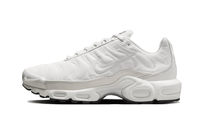 Air Max Plus Reflective Platinum - FZ4342-001