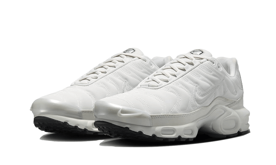 Air Max Plus Reflective Platinum - FZ4342-001