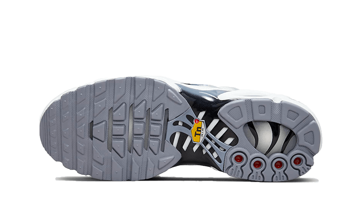 Air Max Plus Sail Grey - FQ2892-100