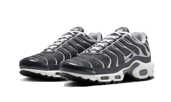 Air Max Plus SE Greyscale Cool Grey - DZ2655-001