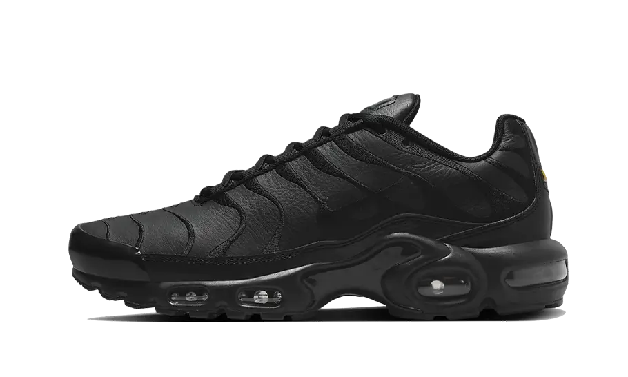 Air Max Plus Triple Black Leather - AJ2029-001