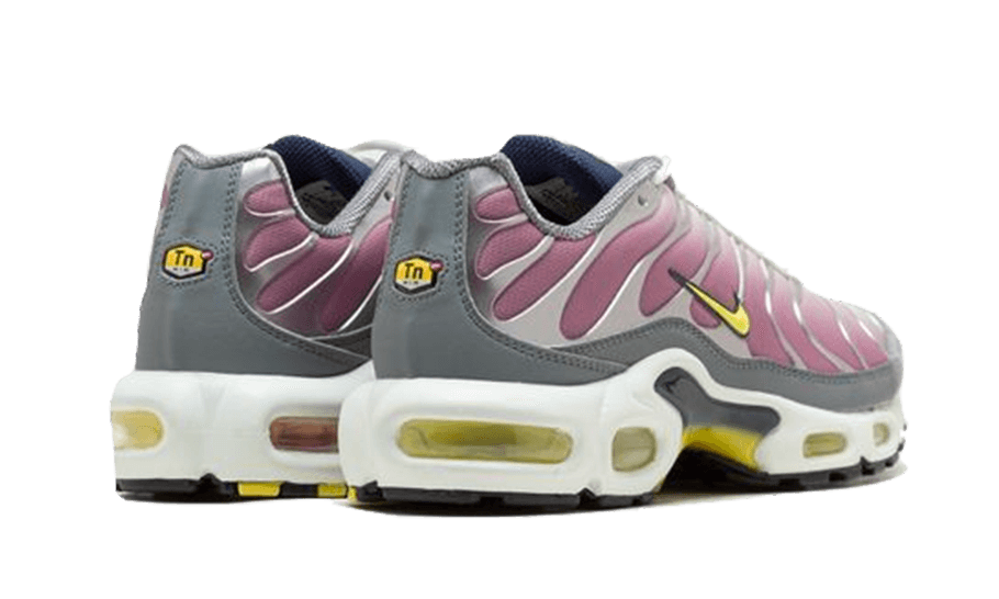 Air Max Plus Violet Dust - FN8007-500