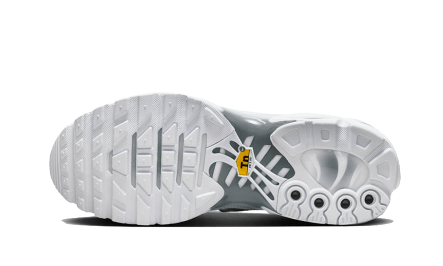 Air Max Plus White Metallic Silver - FV0952-100