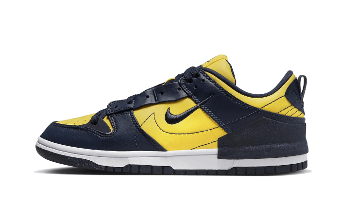 Nike Dunk Low Disrupt 2 Michigan