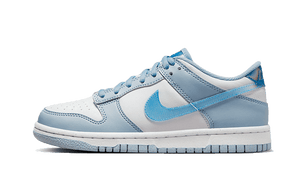Nike Dunk Low Hologramm