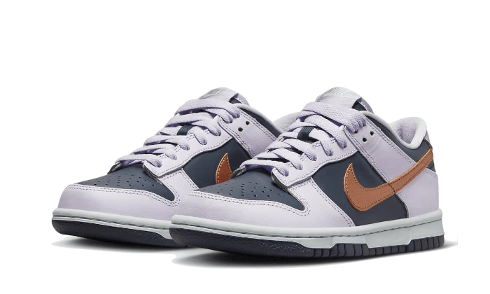 Dunk Low SE Copper Swoosh - DX1663-400