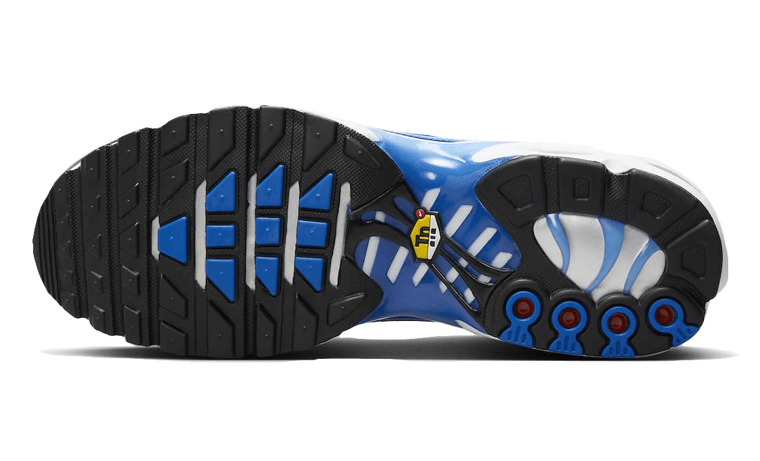 Air Max Plus Light Photography Old Royal - DZ3531-400